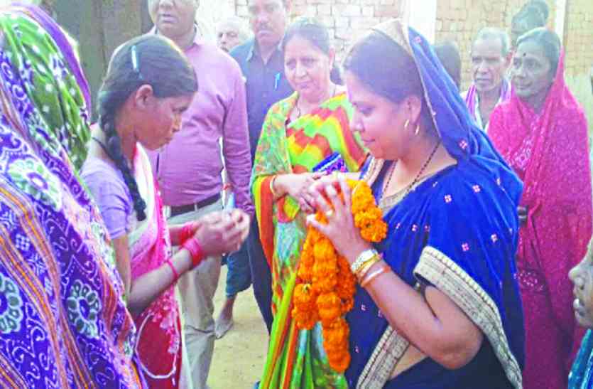 bjp news
