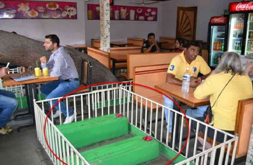 business,restaurant,unique,ahmadabad,cemetery,coffins,Experience,