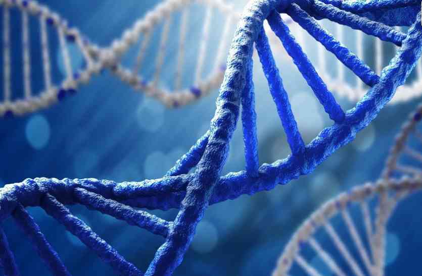 DNA Research रिसर्च में हुआ खुलासा, डीएनए में छिपा होता है बुद्धिमता का कोड़