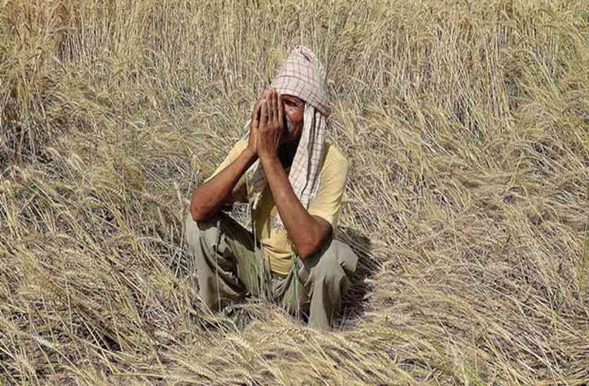 farmer सीकर में सहकारी बैंकों ने हजार खाताधारकों से वसूले 30 करोड़ रुपए , किसानों की कर्जमाफी की सरकारी घोषणा सिर्फ खोखली