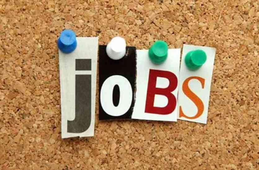job बेरोजगारों के लिए खुशखबरी: पुरानी डेढ़ हजार भर्तियों में इसी माह नियुक्ति, 2400 पदों पर नई भर्ती शुरू