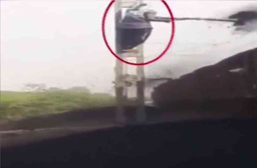 social media,Odisha,coal,video viral,stealing,The tractor then caught stealing coal,