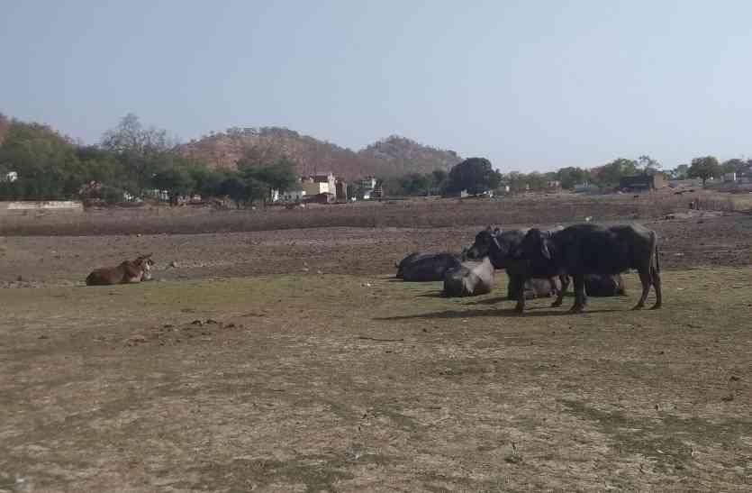 Chandeliran pond turns into a plain water crisis चंदेरा में गर्मी के साथ जल संकट ने दी दस्तक