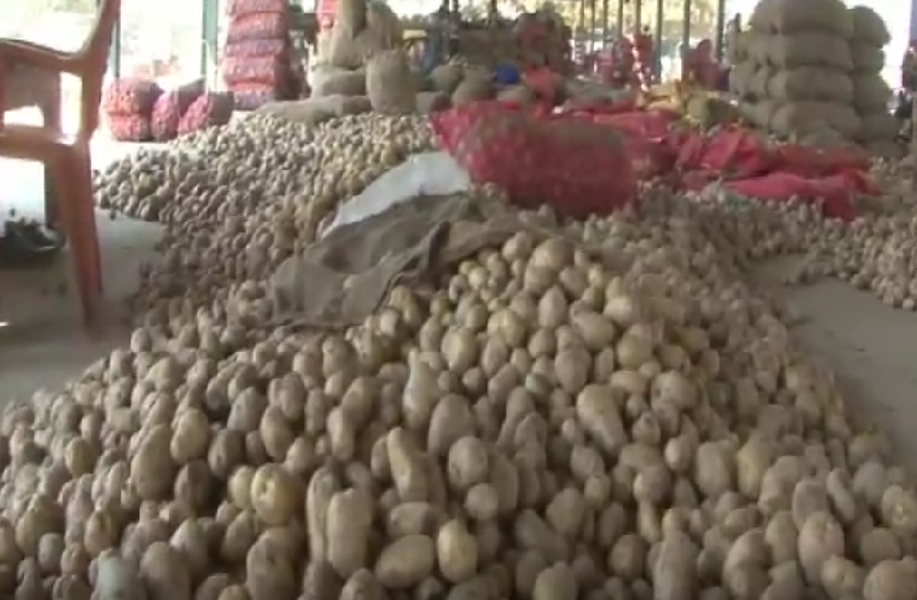 Farmers not selling potato on aloo mandi in farrukhabad सरकारी आलू खरीद पर लगा पलीता, केंद्र पर नहीं ले जा रहे किसान