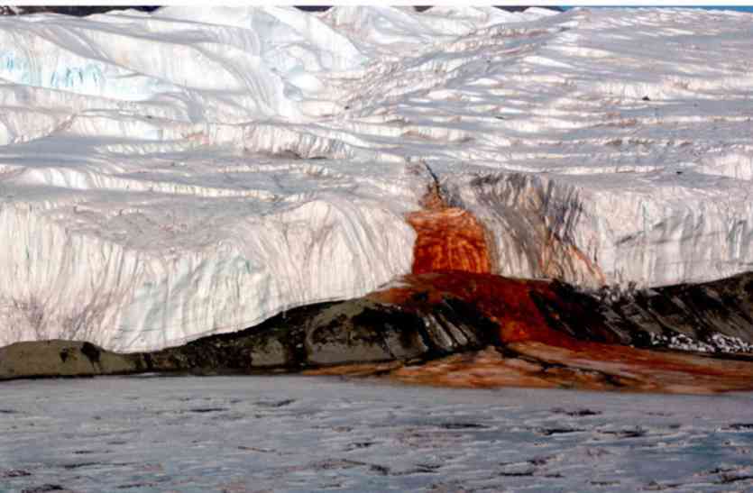 Antarctica अंटार्कटिका के ग्लेशियर से निकलता है खूनी पानी, अब जाकर सुलझा रहस्य