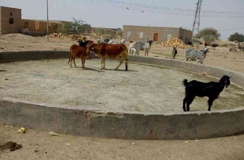 Jaisalmer patrika
