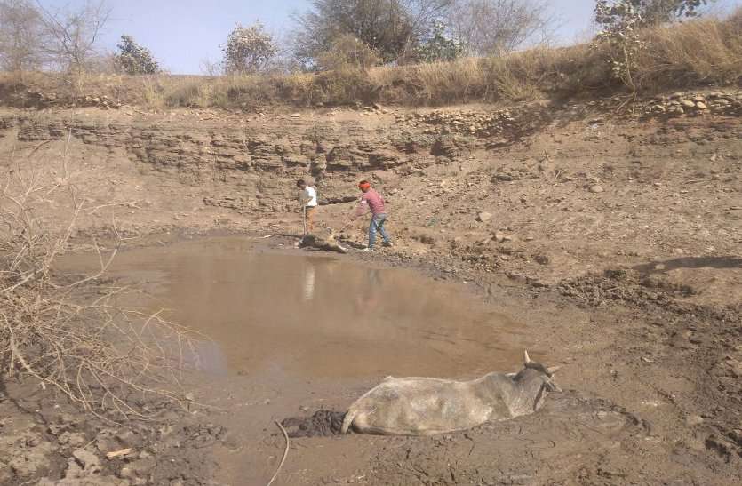 फायर ब्रिगेड बुलाई गई। तब जाकर दाह संस्कार की प्रक्रिया पूरी हो सकी फायर ब्रिगेड बुलाई गई। तब जाकर दाह संस्कार की प्रक्रिया पूरी हो सकी