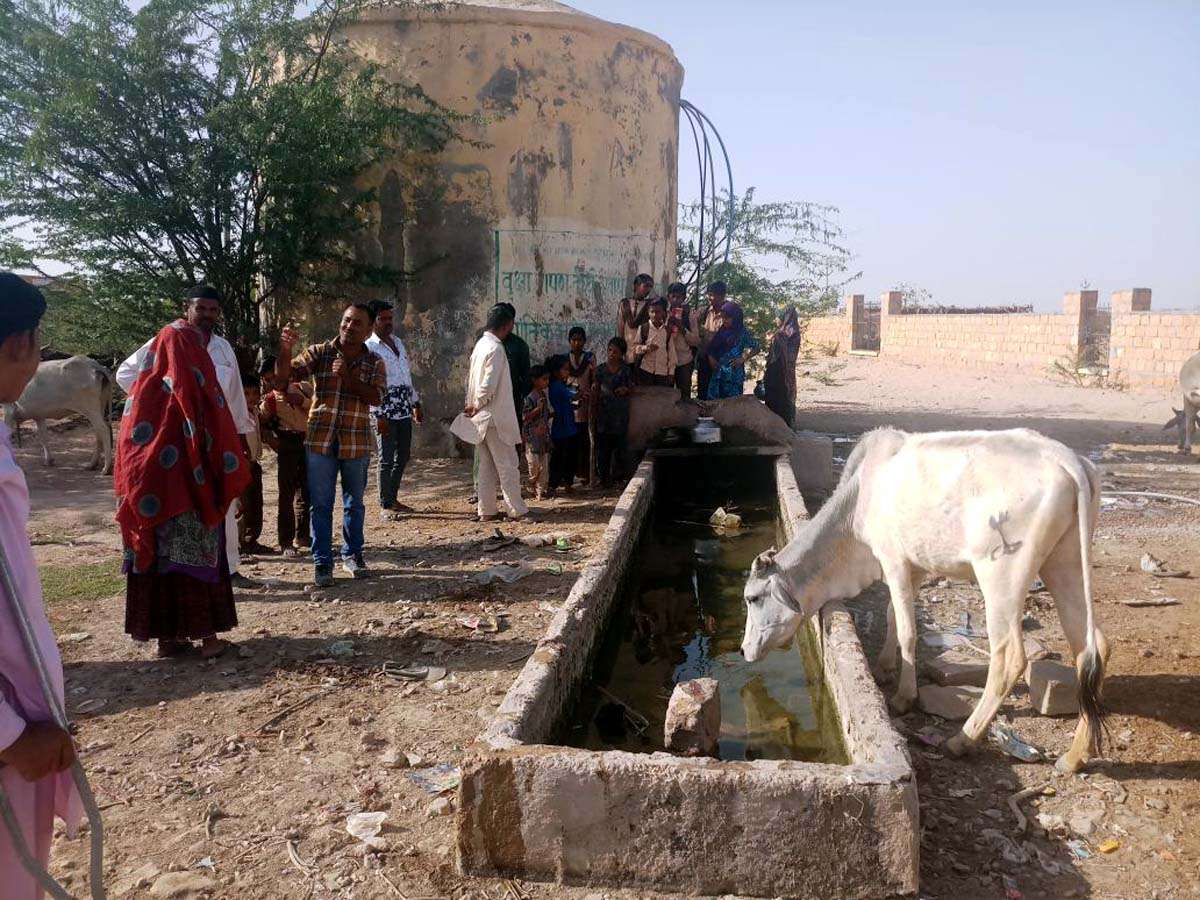 Jaisalmer patrika