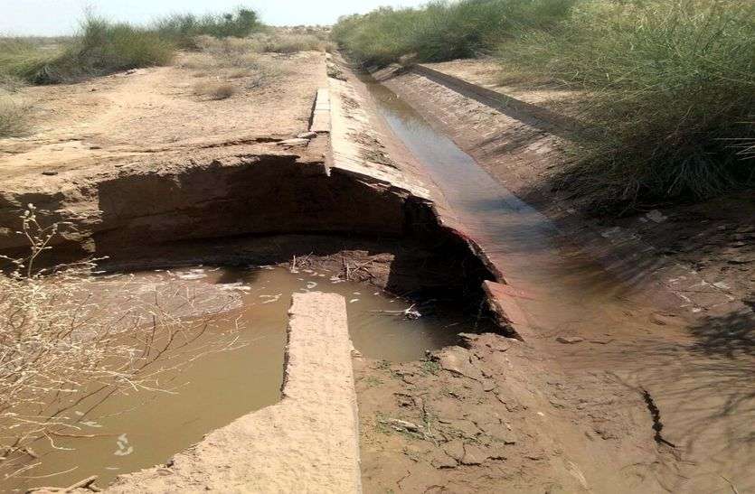 Jaisalmer patrika