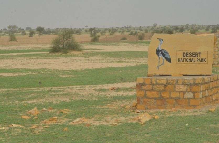 Jaisalmer patrika