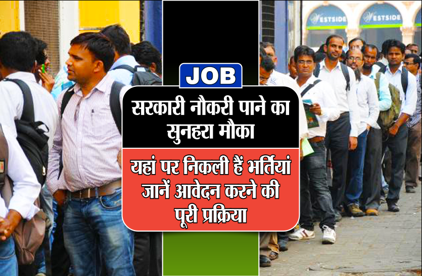 JOB JOB: सरकारी नौकरी पाने का सुनहरा मौका, यहां पर निकली हैं भर्तियां, जानें आवेदन करने की पूरी प्रक्रिया
