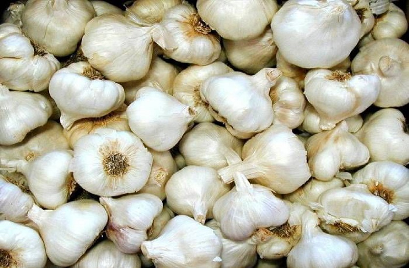 Garlic prices Down