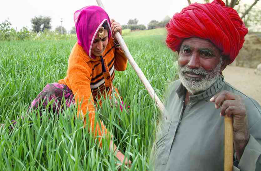 farmer प्रदेश के 3 लाख किसानों तक पहुंची सरकार की सौगात, चना एवं सरसों के लिए किया करोड़ों रुपयों का भुगतान