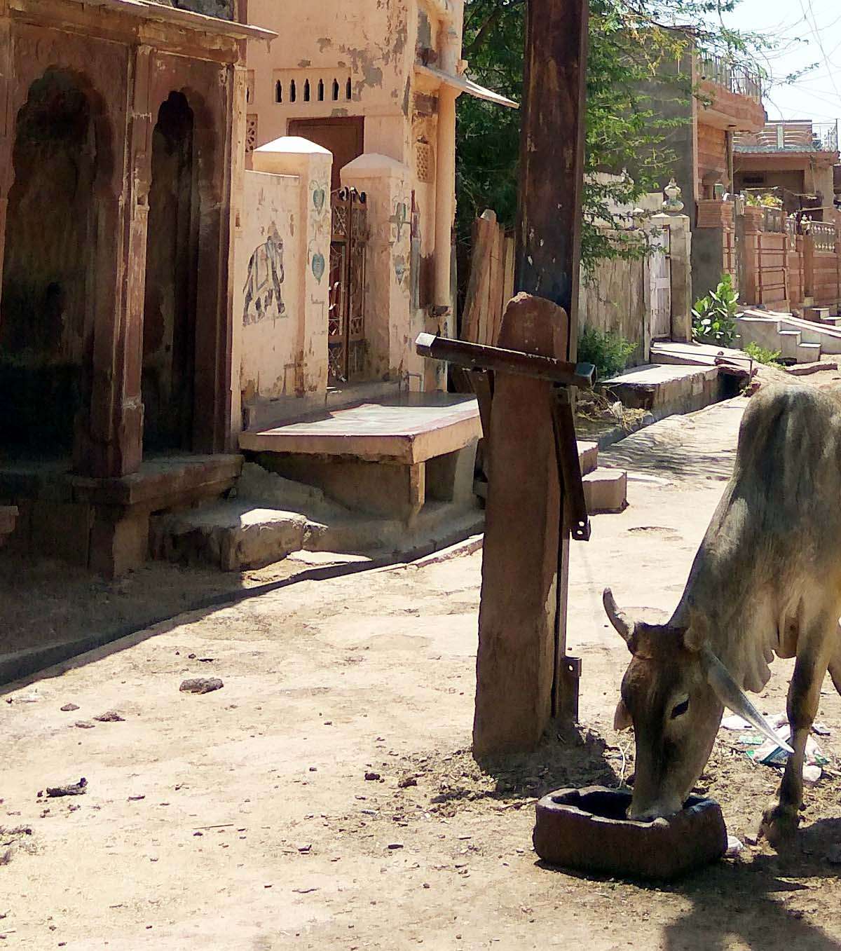 Jaisalmer patrika