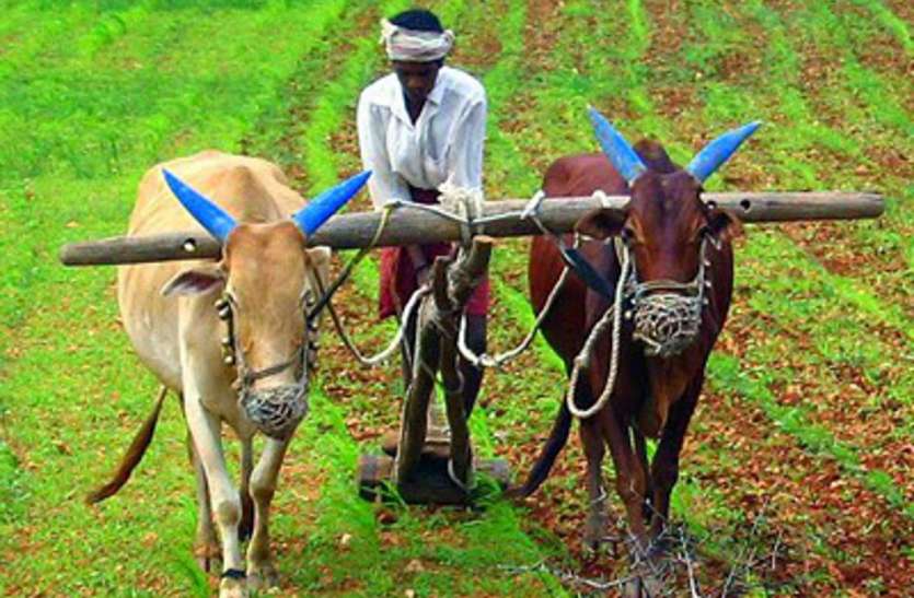 Bonus to farmers distributed in Kisan Sammelan हुआ बस एक क्लिक और सैकड़ों किसानों को मिल गए लाखों रुपए, जानिये कैसे
