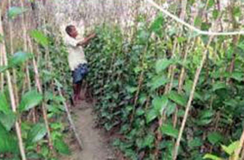 Bihari Minister is learning farming in Lucknow बिहार के मंत्री यूपी से सीखने आए खेती किसानी