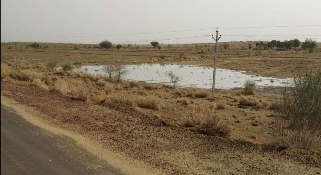 Jaisalmer patrika