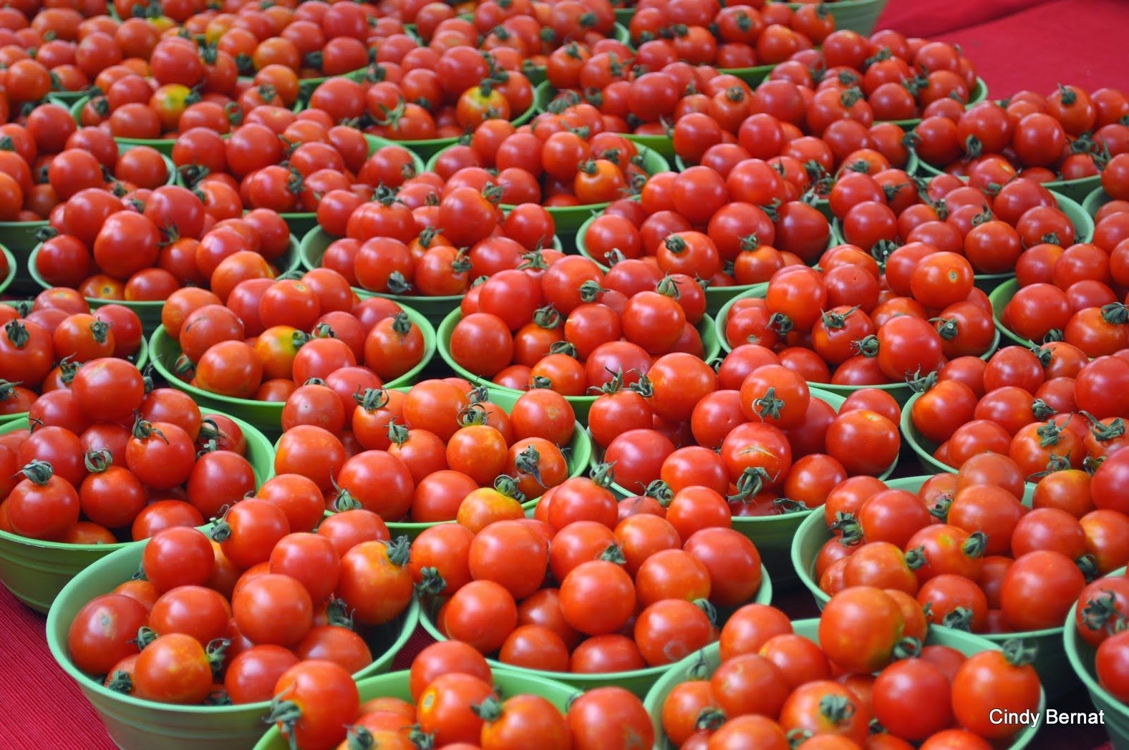 Success story- Farmer becomes Millionaire from tomato cultivation | टमाटर  की खेती से लखपति बन गया किसान, आप भी अपना सकते हैं ये तरीका | Tamato Farming: गेहूं छोड़ इस सीजन करें टमाटर की खेती, होगी छप्‍पड़फाड़ कमाई, ये किस्‍में देगी बंपर उत्‍पादन