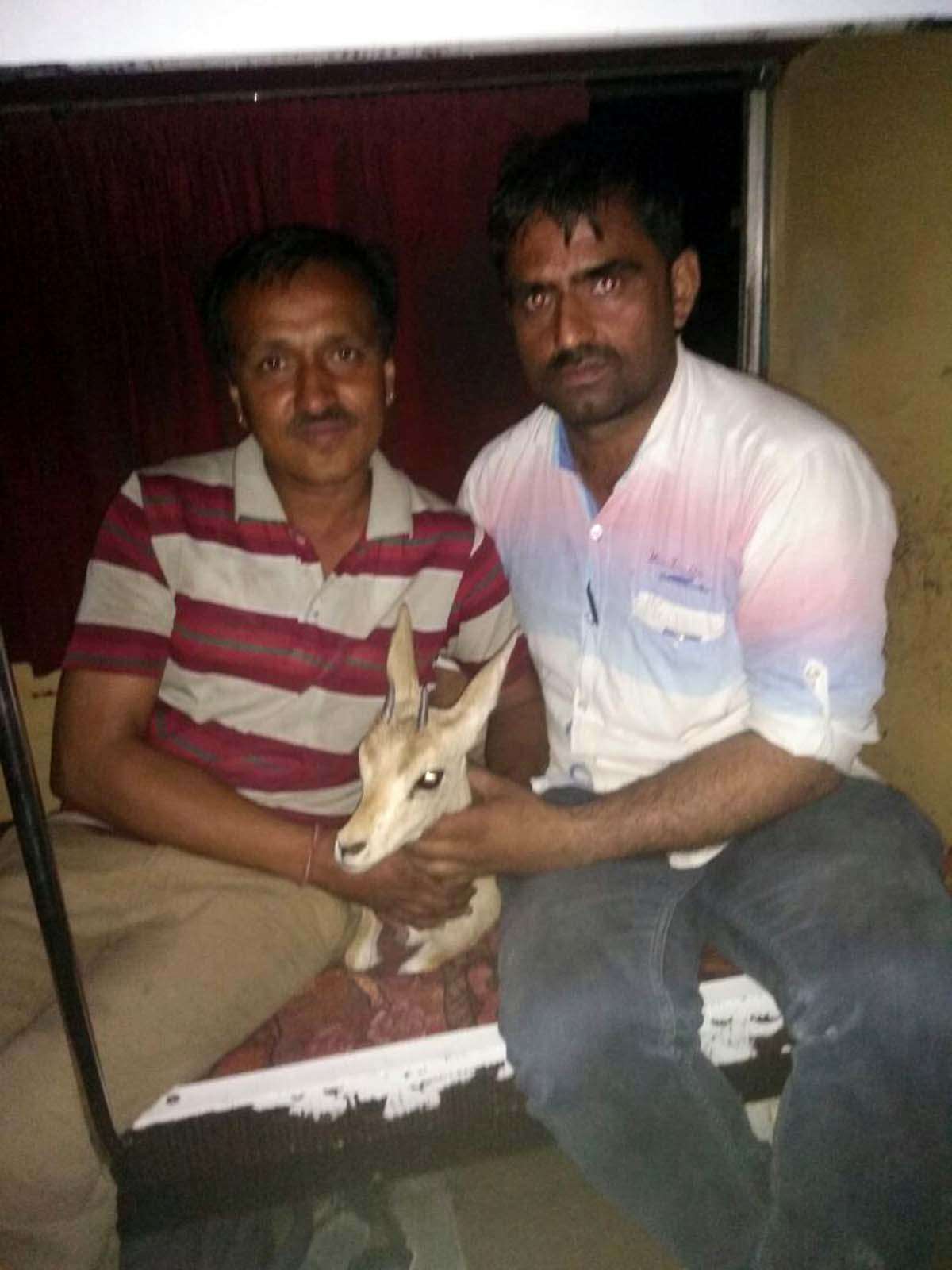 Jaisalmer patrika