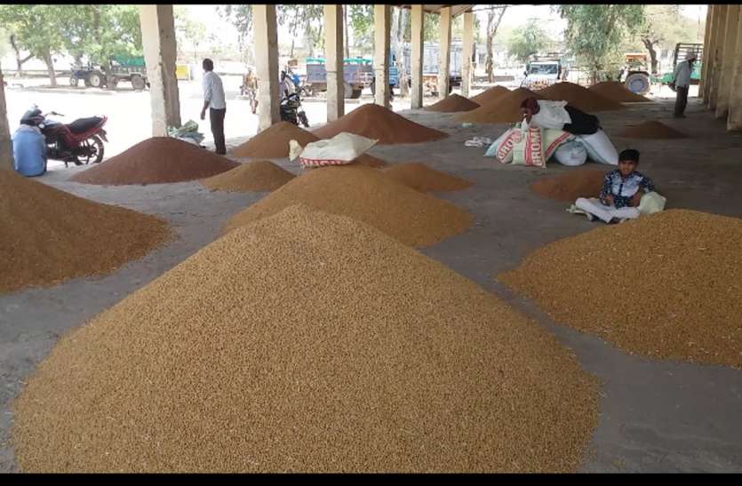 chana पहले छानकर लाओ, फिर खरीदेंगे चना