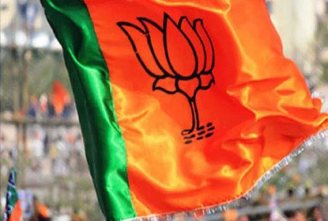 bjp सांसद आदर्श गांव योजना के बाद अब बीजेपी कार्यकर्ता भी दो-दो गांवों का विकास कराएंगे