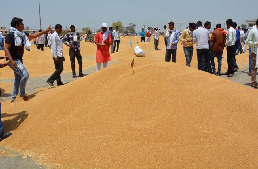 किसानों ने लगाया मंडी गेट पर ताला , तुलाई बंद होने से धरने पर बैठे किसानों ने लगाया मंडी गेट पर ताला , तुलाई बंद होने से धरने पर बैठे
