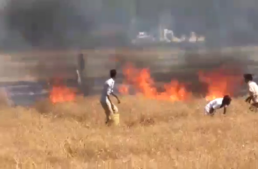 chhindwara खेतों में नरवाई जलाने से पर्यावरण को नुकसान