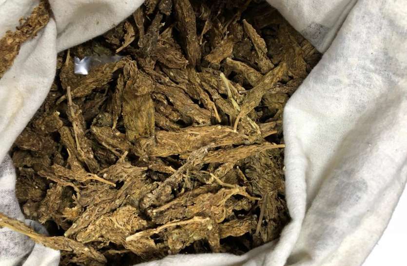 kolkata west bengal कोलकाता से 2 युवती सहित 4 ड्रग्स तस्कर गिरफ्तार