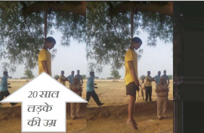 Karauli Hindi news, Karauli local news from rajasthan अपने ही ताऊ के खेत पर पेड़ से लटकी मिली 20 साल के युवक की लाश, रानीपुरा में पहली ऐसी घटना; लोगों ने नहीं लिए अवकाश