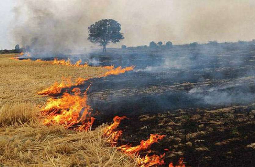 up news खेत में फसल का अवशेष जलाने वालों पर लगेगा जुर्माना