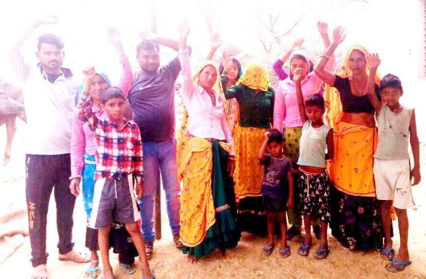 panther-kills-prey पैंथर ने भांवता में पाडे का किया शिकार