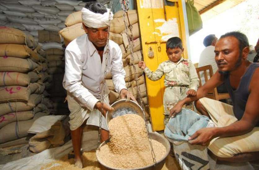 Ration अगर आपको नहीं मिल रहा है सरकारी राशन तो इस नंबर पर करें शिकायत