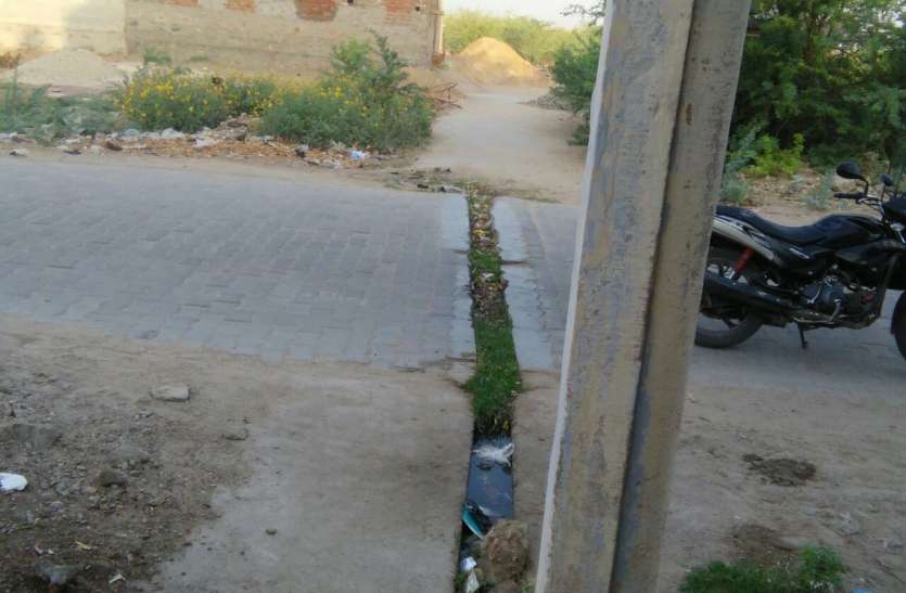 Cleanliness drive started in Dudu किया फैसला, अब डस्टबिन में ही डालेंगे कचरा