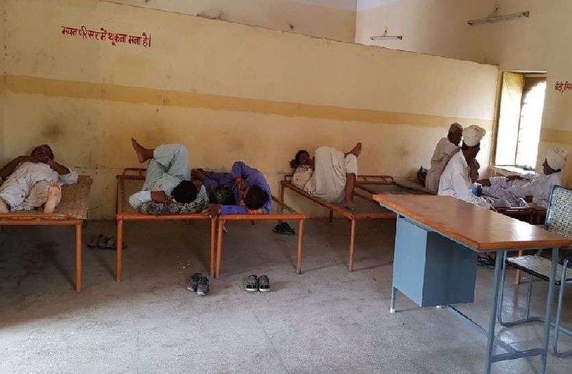 Jaisalmer patrika JAISALMER NEWS- राजस्थान के रैन में असहायों की बजाए इनका है बसेरा