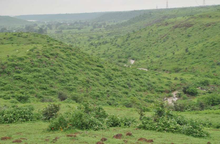 pratapgarh प्रदेश में वनाच्छादित क्षेत्र में उदयपुर के बाद प्रतापगढ़ जिला दूसरे स्थान पर