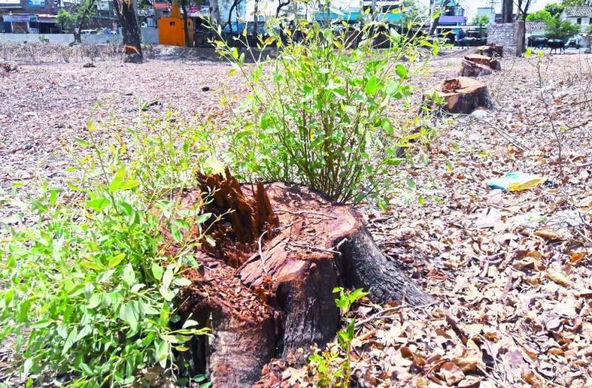 bhajpa neta प्रशासन की नाक के नीचे इस दिग्गज भाजपा नेता ने किया ये काम