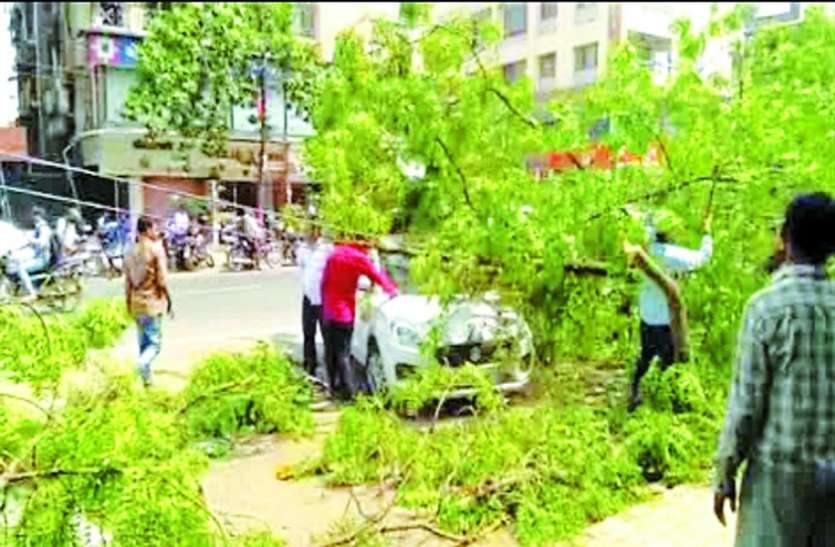 Car damaged by falling tree, electric gul पेड़ गिरने से कार क्षतिग्रस्त, बिजली गुल