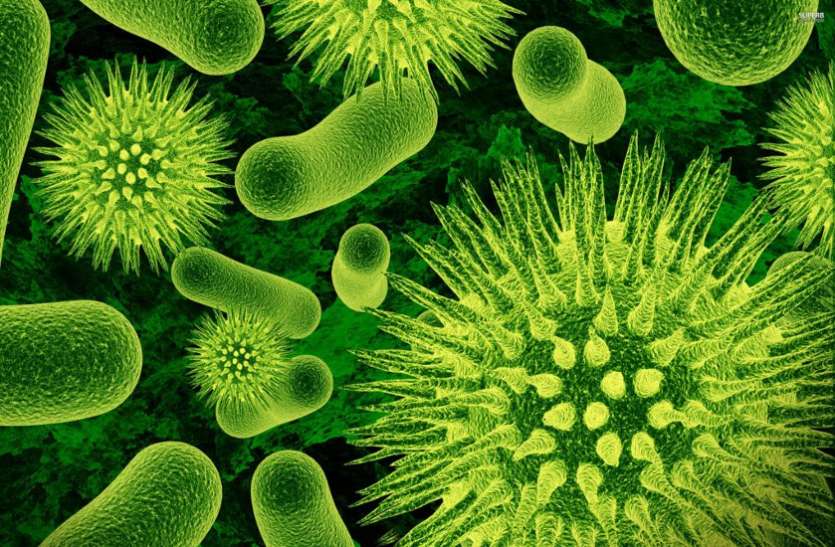 bacterias क्या दोस्त भी होते हैं बैक्टीरिया