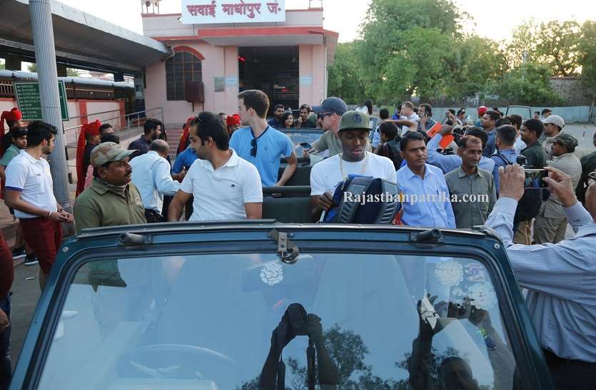 rajasthan royals team क्रिकेटरों ने देखी बाघों की अठखेलियां, राजस्थान रॉयल्स के खिलाडिय़ों ने किया पार्क भ्रमण