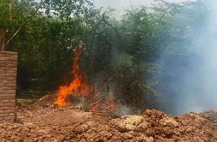 fire in sriganganagar sadar police station Video: श्रीगंगानगर सदर थाने के पीछे लगी आग