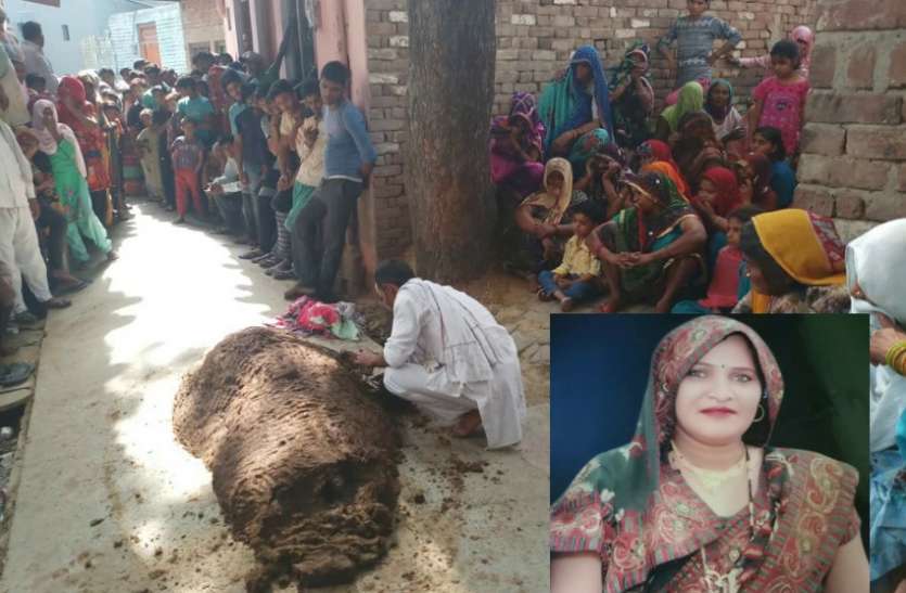 Bulandshahr VIDEO अजब-गजब: महिला को डंस गया सांप, इलाज के लिए सपेरे को बुलाया और फिर...