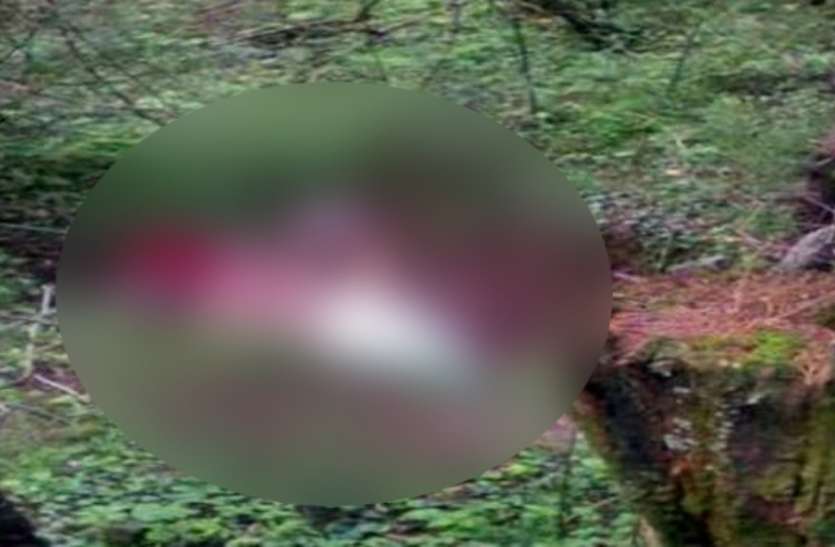 gudia rape case हो गया गुड़िया रेप-हत्याकांड का खुलासा, नशे में आरोपियों ने दिया था वारदात को अंजाम, न्यायिक हिरासत में भेजा गया आरोपी