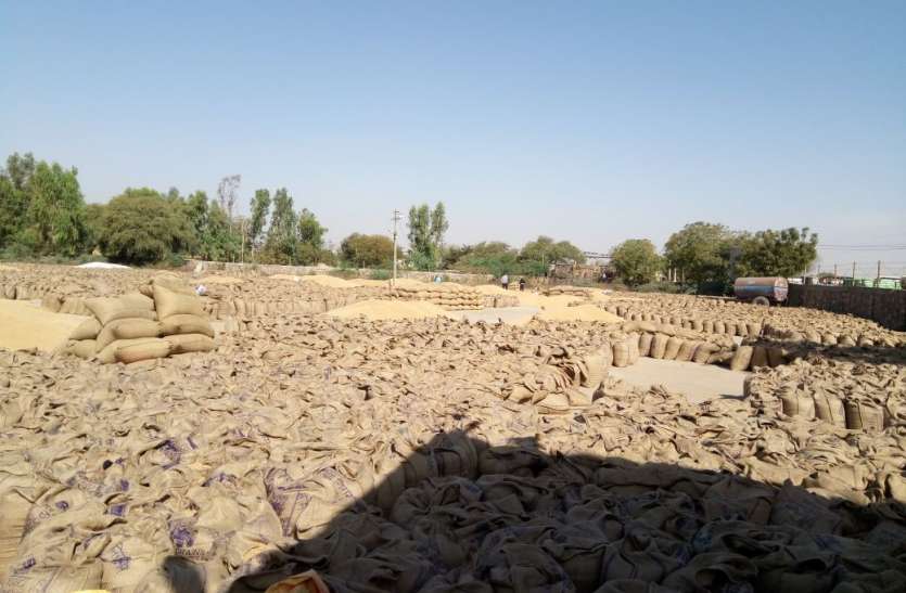 sarakaaree khareed kendr avyavastha उठाव नहीं होने से धरती पुत्र की उम्मीदों पर पड़े ओले