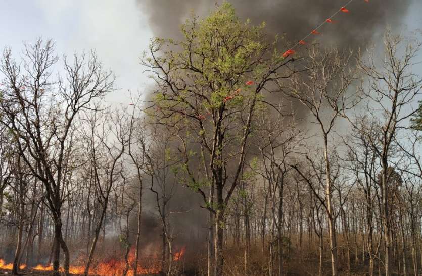Fire started oranges ... आग ने मचाया तांडव...