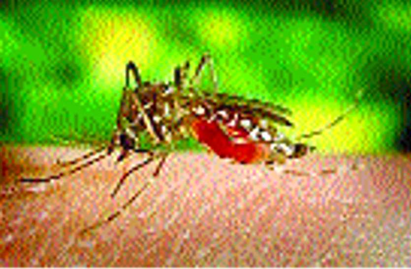 World malaria day Another Step for Cleanliness Campaign स्वच्छता अभियान का और एक कदम, तोड़ देगा मलेरिया का दम, ये कायम हुई मिसाल