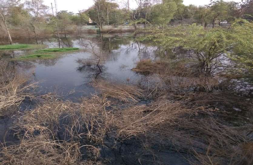 Increasing water pollution in alwar अलवर में खत्म करने के नाम पर इस तरह दे रहे हैं प्रदूषण को बढ़ावा, प्रशासन जानकर भी मौन