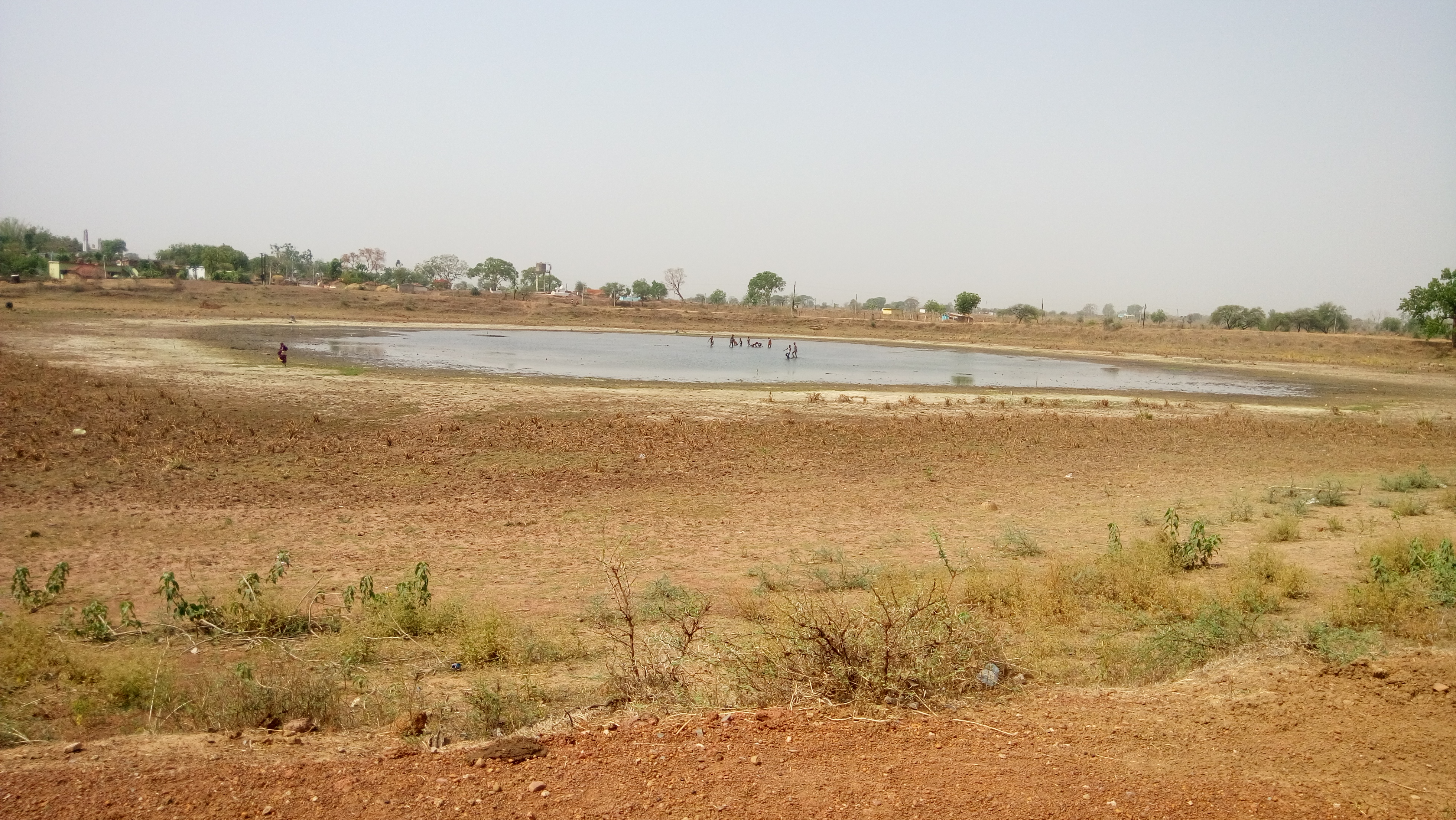 mungeli news दो वर्ष में एक भी तालाब का नहीं हुआ सौंदर्यीकरण