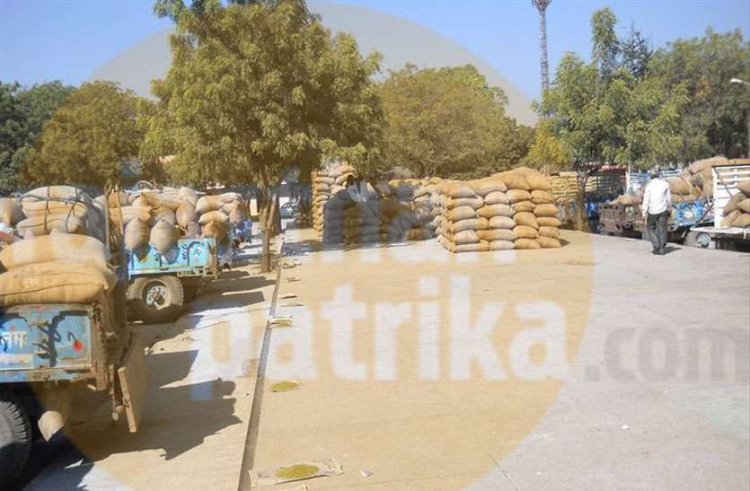 Illegal Grain Mound in villages गांवों में अवैध अनाज मण्डी से किसान झेल रहे नुकसान