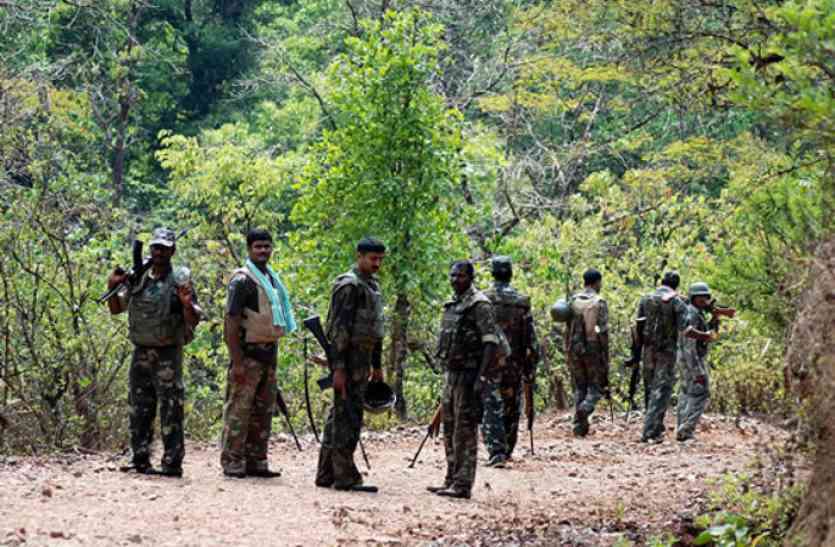 Gadchiroli Encounter Naxals Alleged They Were Poisened Before Killing गढ़चिरौली एनकाउंटर