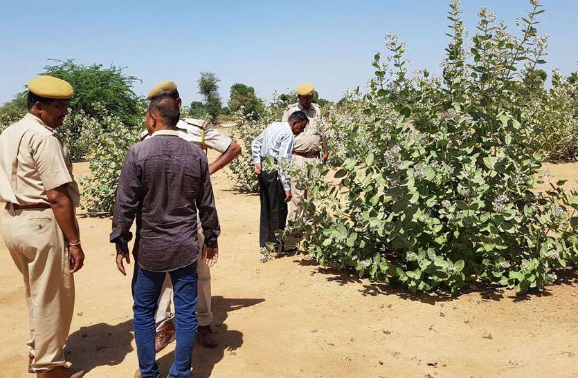 Murder of child पीएम रिपोर्ट के बाद हत्या का प्रकरण दर्ज, संदिग्धों से पूछताछ
